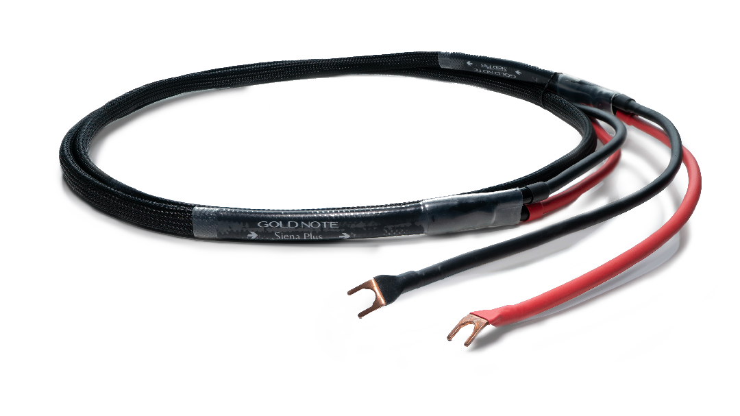 Speaker cables – Siena